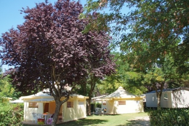 Camping Flower Campings