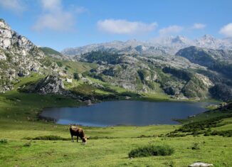 montagne-été