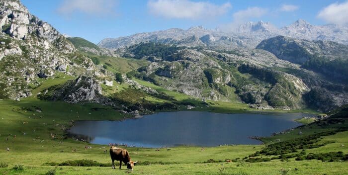 montagne-été